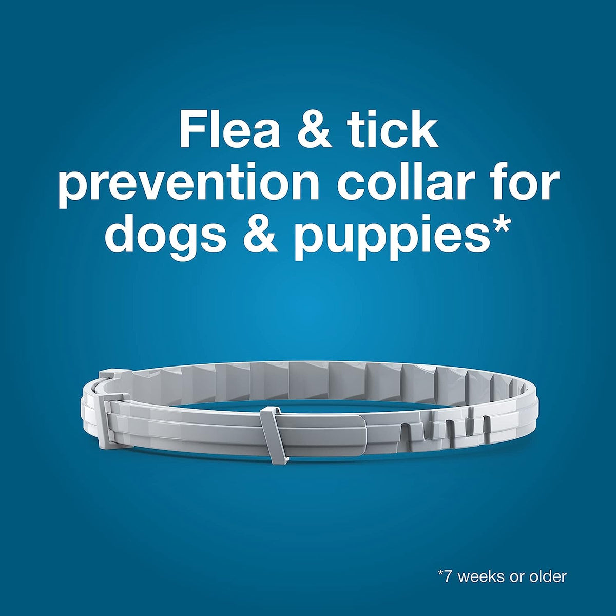 Fleas & Ticks