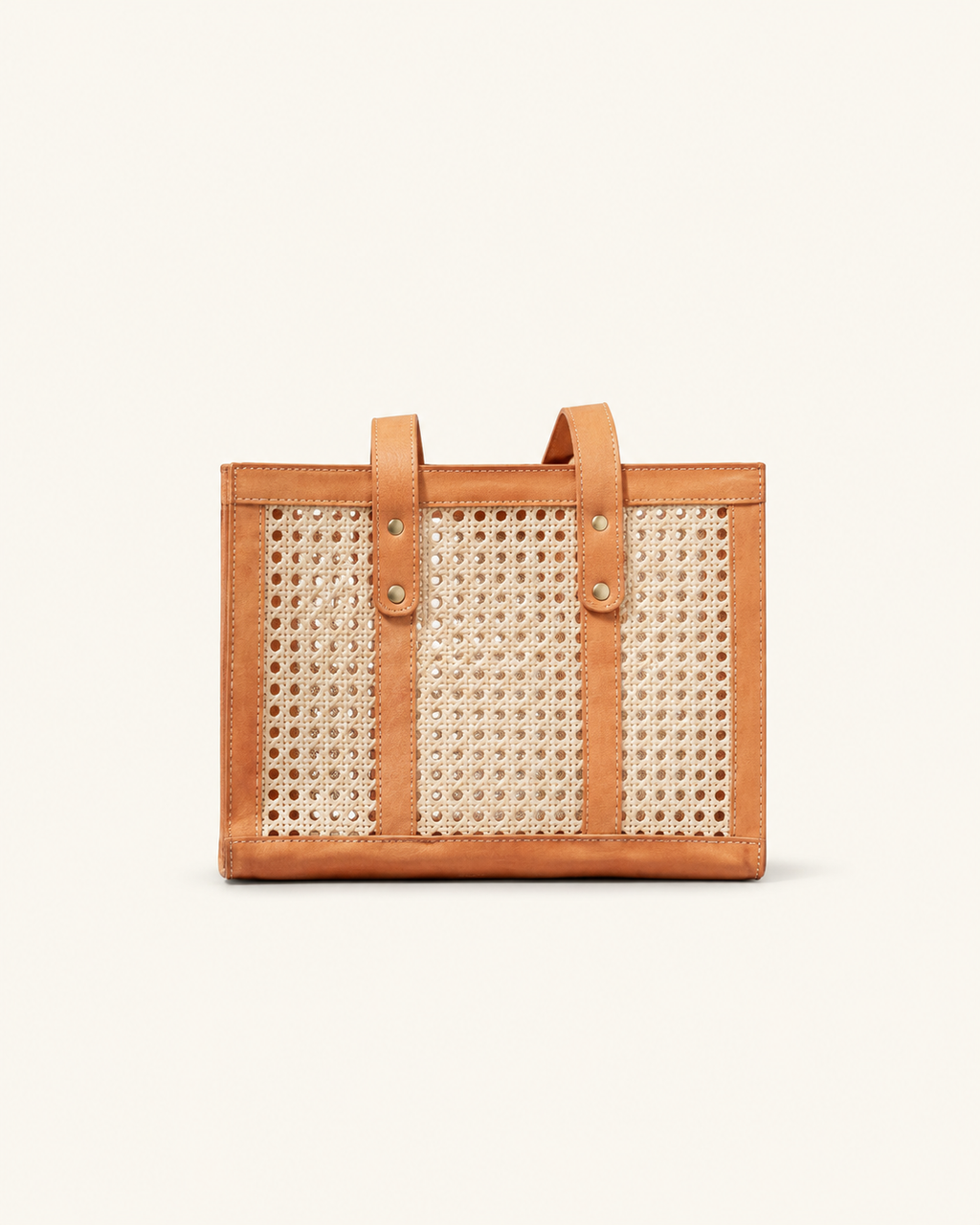 Raja Leather and Cane Everyday Bag