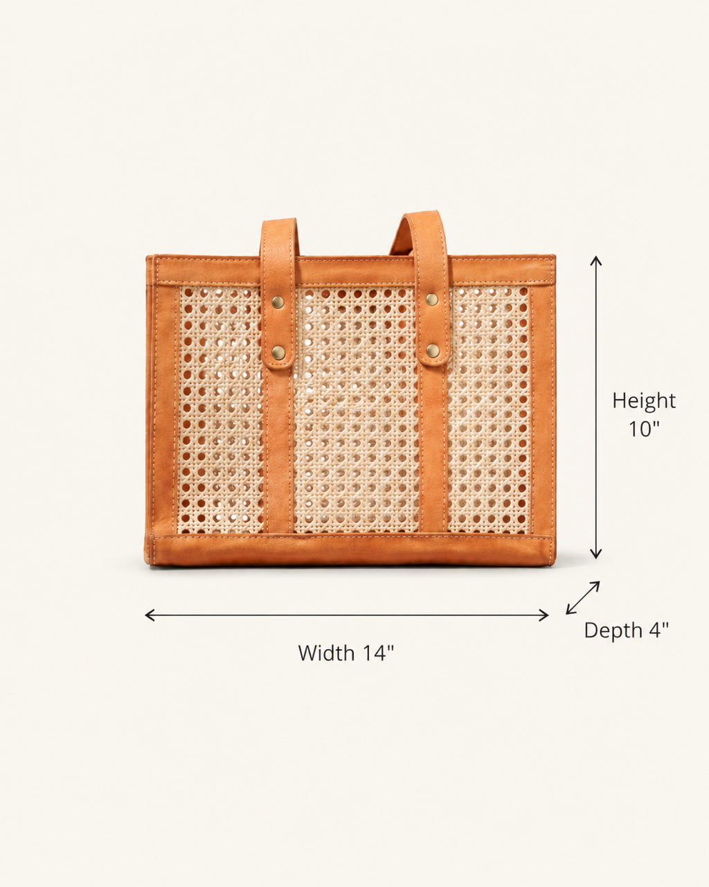Raja Leather and Cane Everyday Bag