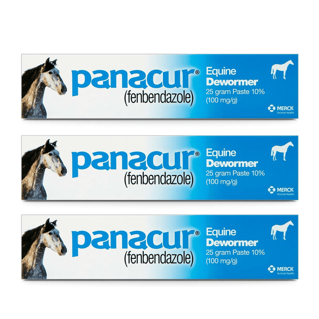 Panacur Equine Dewormer Paste 10 Percent Fenbendazole – Apple Cinnamon 3 Pack