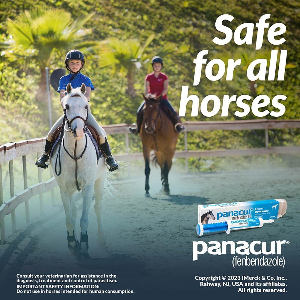 Panacur Equine Dewormer Paste 10 Percent Fenbendazole – Apple Cinnamon 3 Pack
