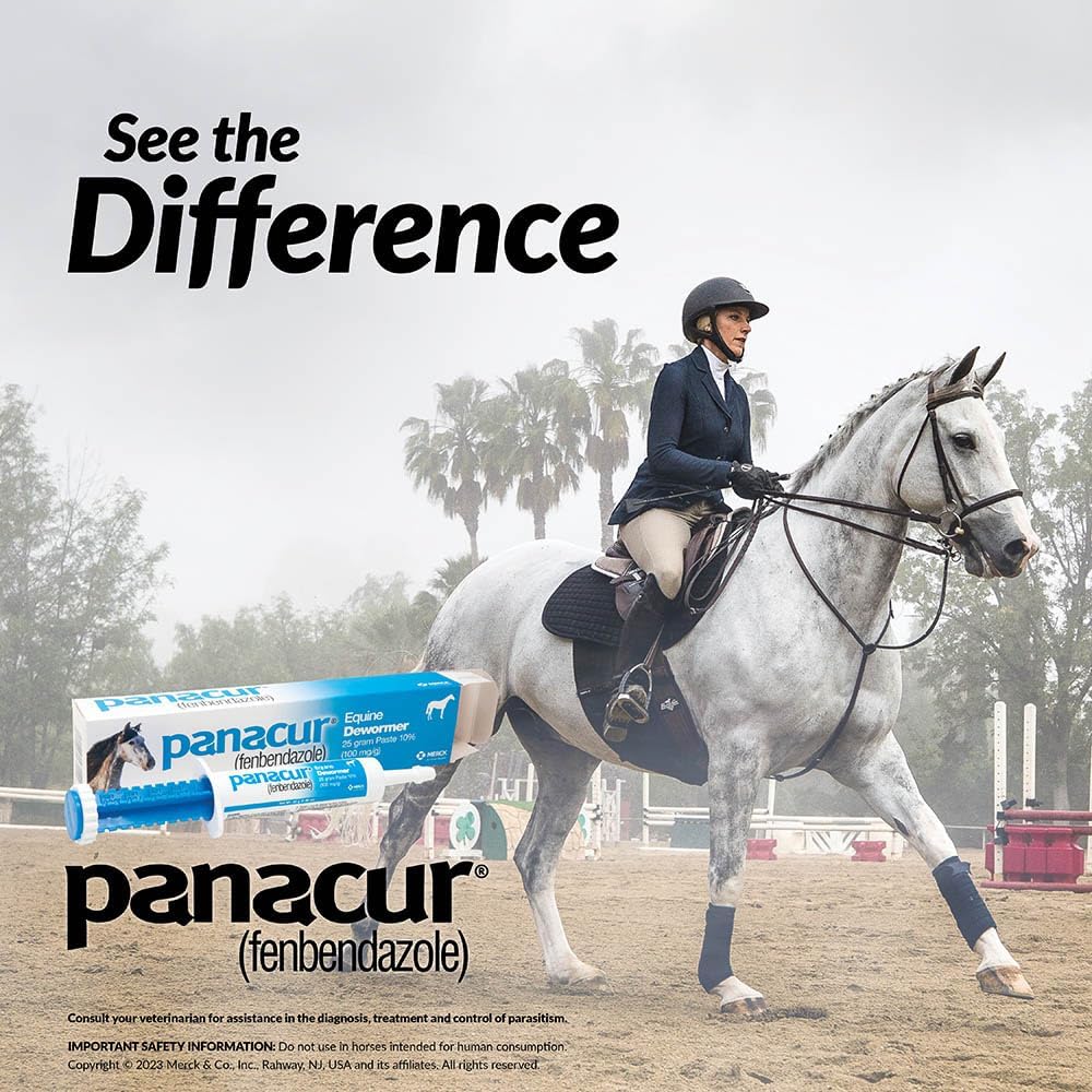 Panacur Equine Dewormer Paste 10 Percent Fenbendazole – Apple Cinnamon 3 Pack