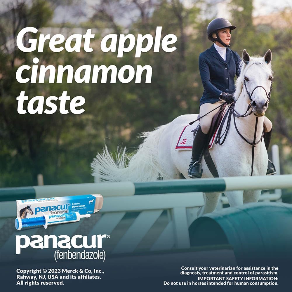 Panacur Equine Dewormer Paste 10 Percent Fenbendazole – Apple Cinnamon 3 Pack