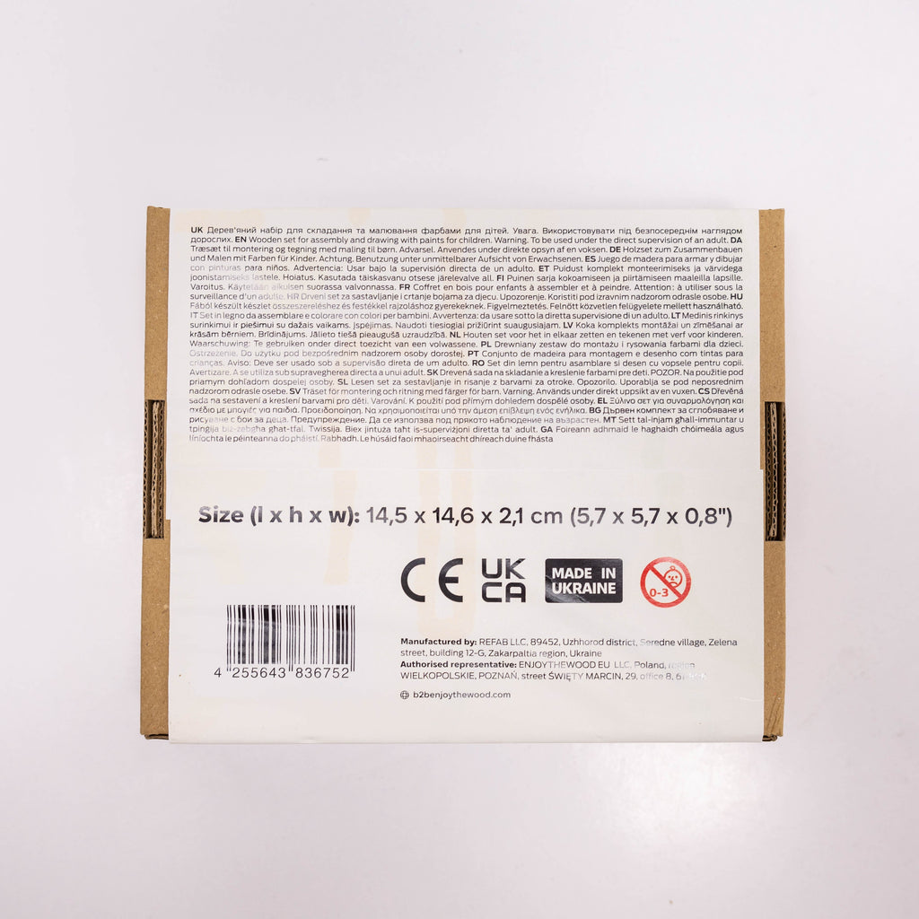 Wooden 3D DIY Painting Kit Space