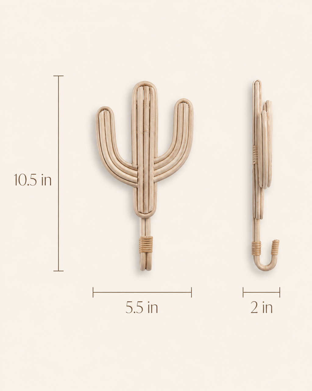 Cactus Wall Hook