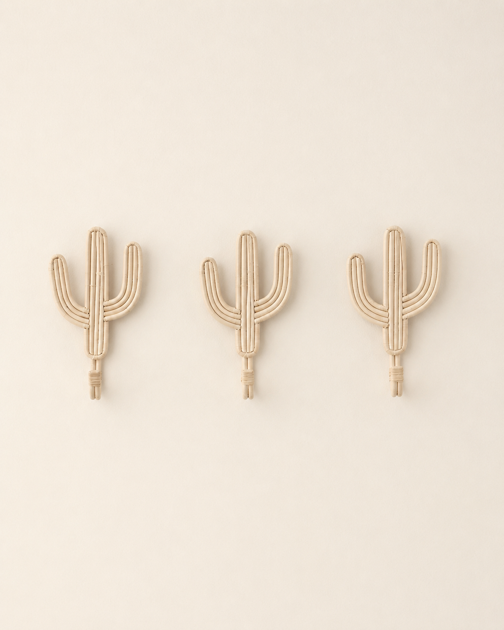Cactus Wall Hook
