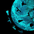 Puzzle Moon Luminious
