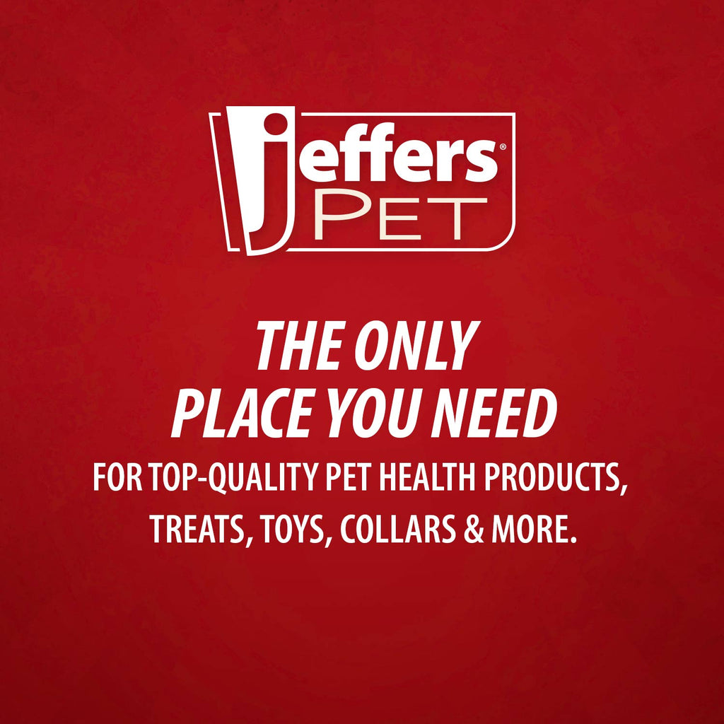 Jeffers Red Classic Stuffable Fetch & Chew Natural Rubber Treat Dispensing Dental Dog Toy