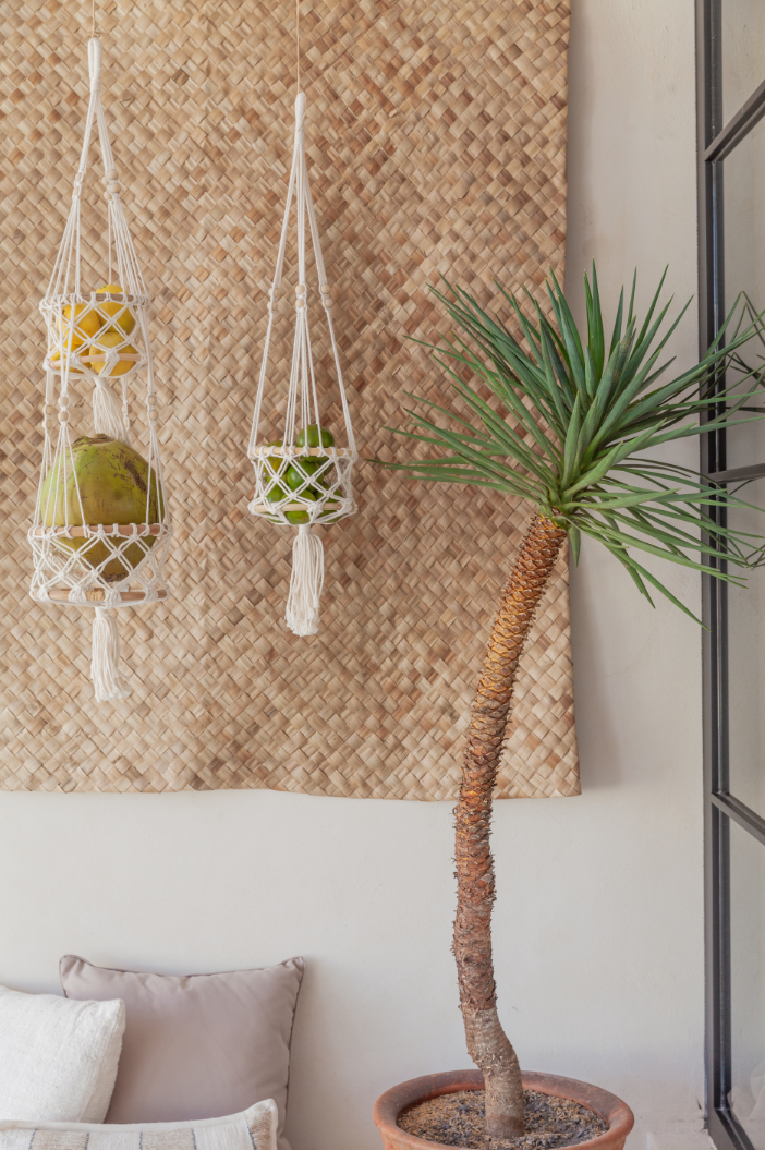 Macrame Plant Hangers