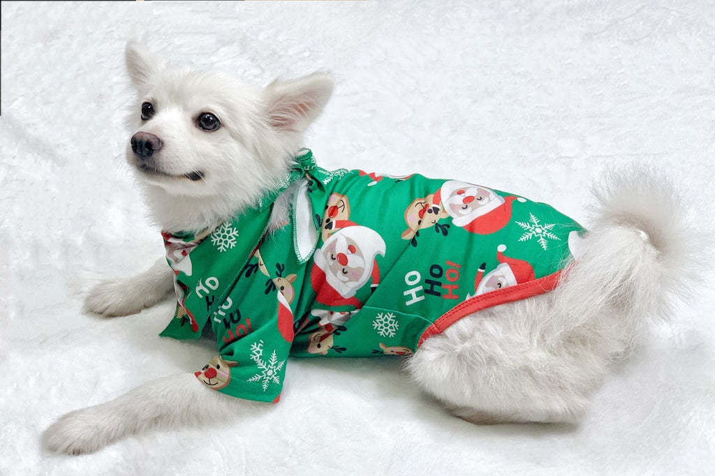 Family Matching Christmas Pajamas Santa Claus & Sleepwear for Family