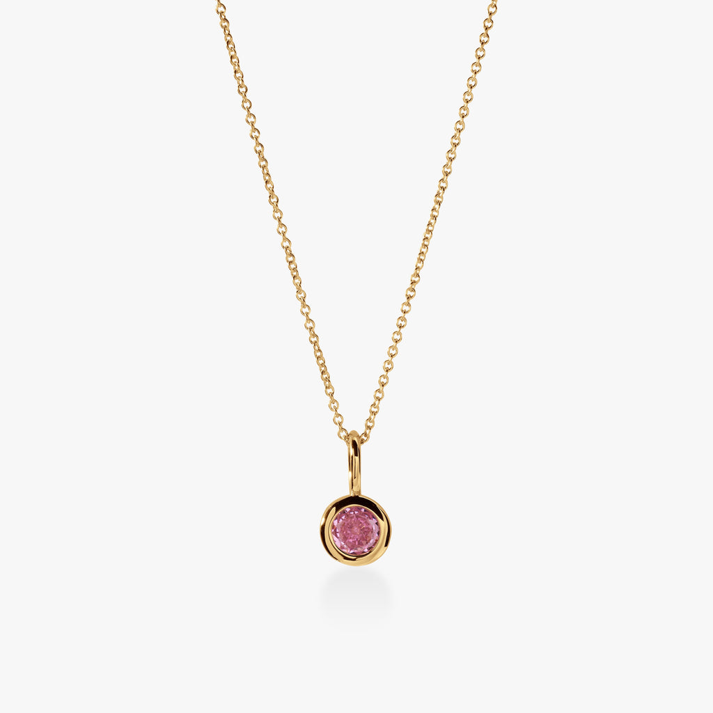 Birthstone Charm Necklace
