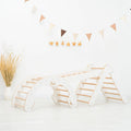 3 in 1 Pikler Triangle Set: Pikler Triangle + Arch + Ladder